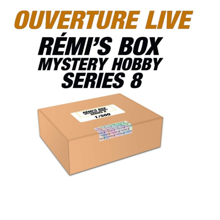 Rémi’s Box Mystery Hobby Series 8